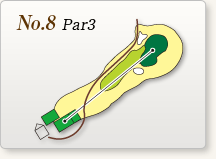 No.8 Par3