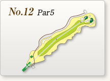 No.12 Par5