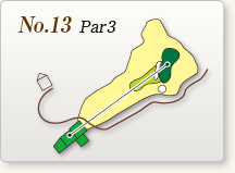 No.13 Par3