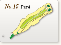 No.15 Par4