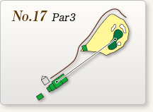 No.17 Par3