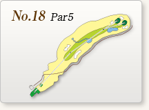 No.18 Par5